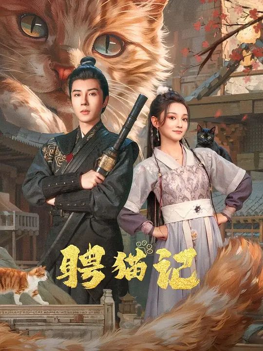 聘猫记第03集