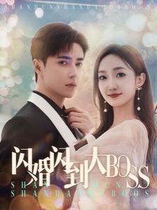 闪婚闪到大BOOS第21-40集