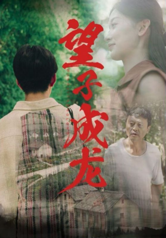 新望子成龙第41-61集完结(大结局)