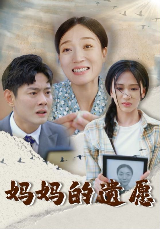 妈妈的遗愿第1-20集