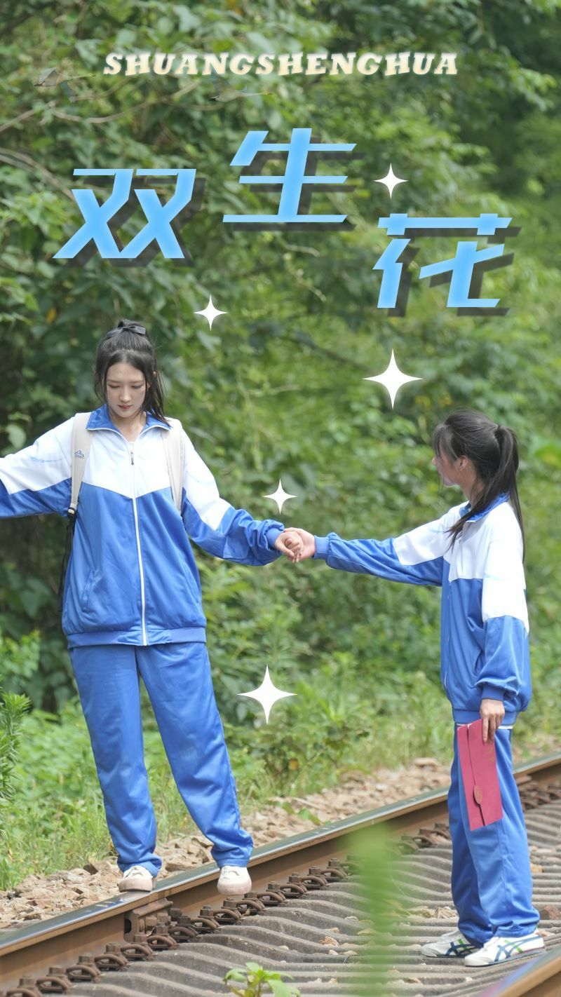 双生花第1-20集