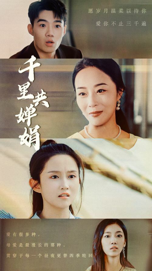 千里共婵娟第11集