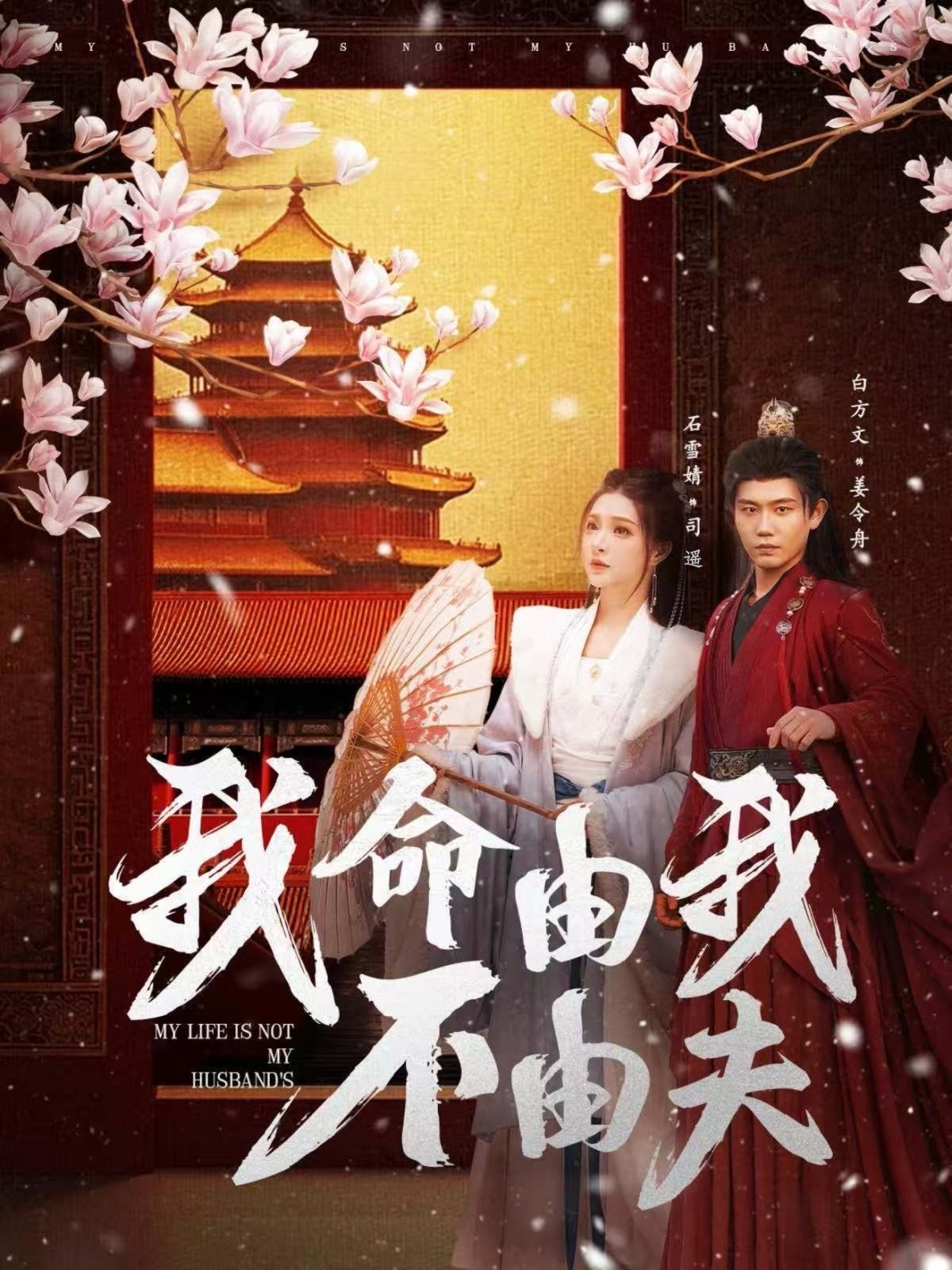 我命由我不由夫第21-40集