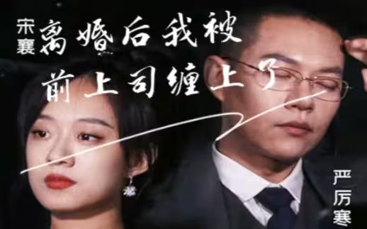 离婚后我被前上司缠上了第1-20集