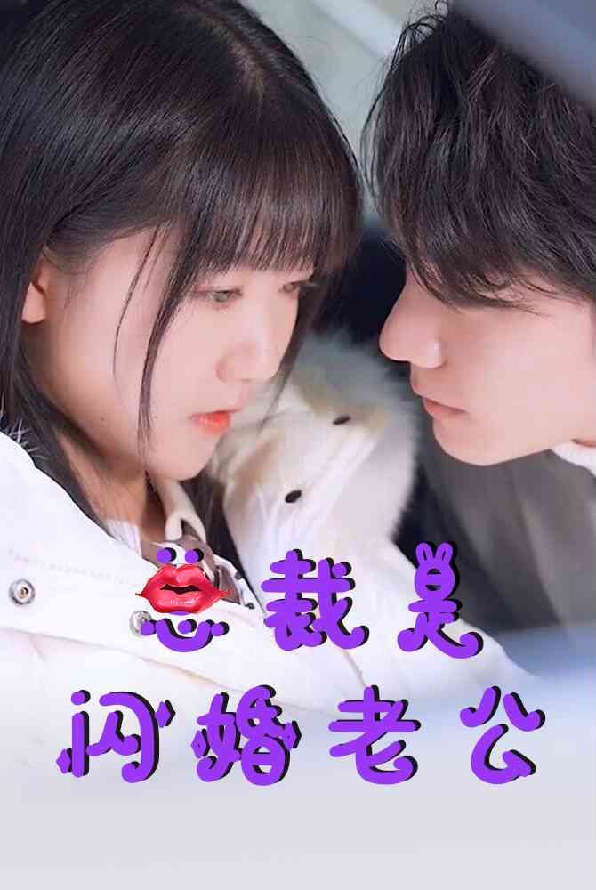 总裁是闪婚老公全集完结(大结局)