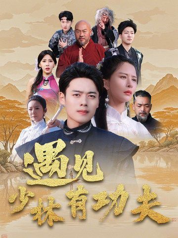遇见少林有功夫第1-20集