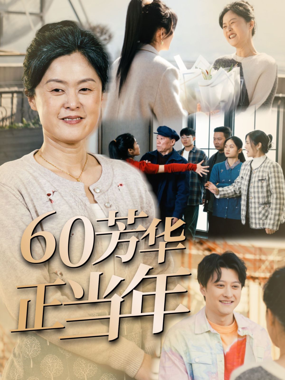 60芳华正当年第21-32集完结(大结局)