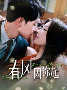 春风因你起第41-60集