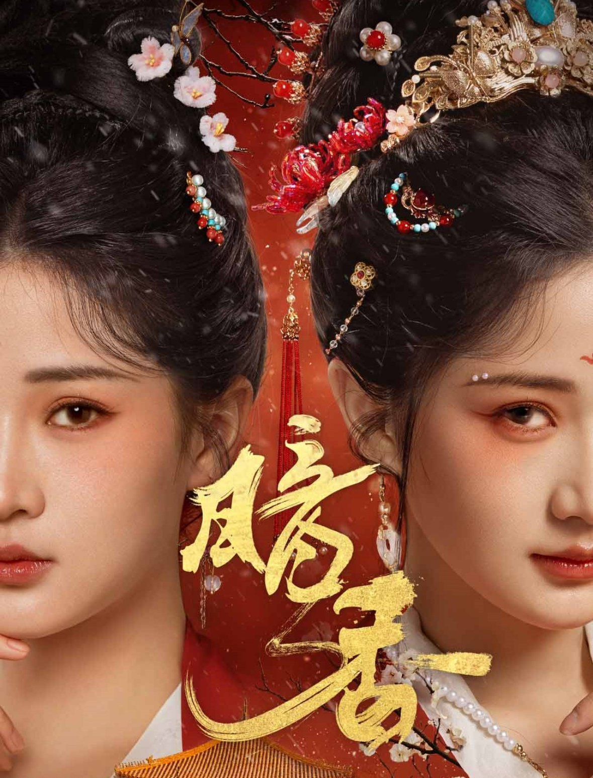暗香第21-40集