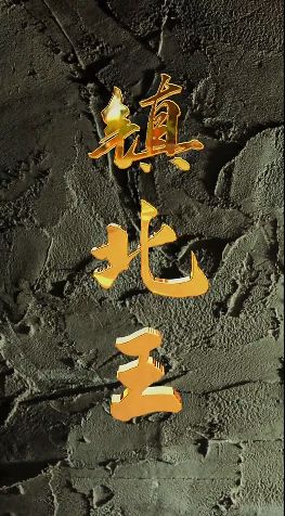 镇北王第21-40集