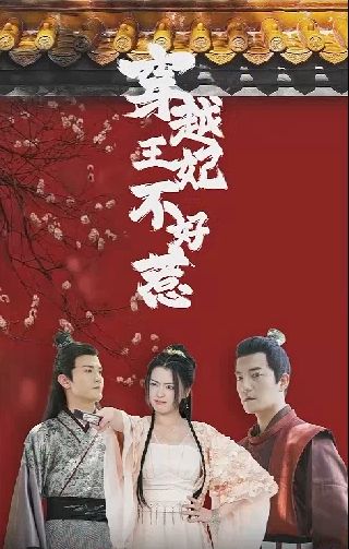 穿越王妃不好惹第1-20集