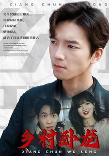 乡村卧龙第61-80集