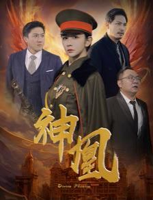 神凰第21-40集