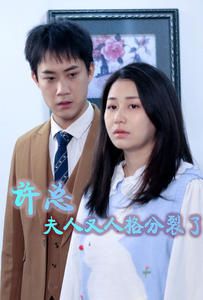 许总，夫人又人格分裂了第1-20集