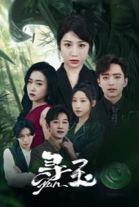 寻玉第1-20集