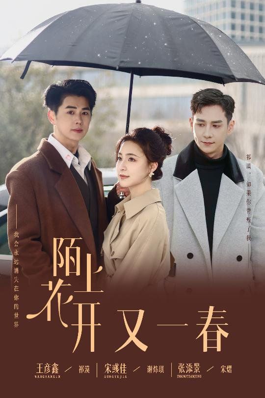 陌上花开又一春第1-20集