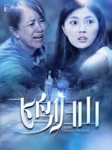 飞鸟归山第1-20集