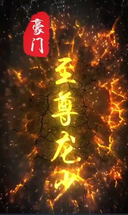 豪门至尊龙少第81-100集完结(大结局)