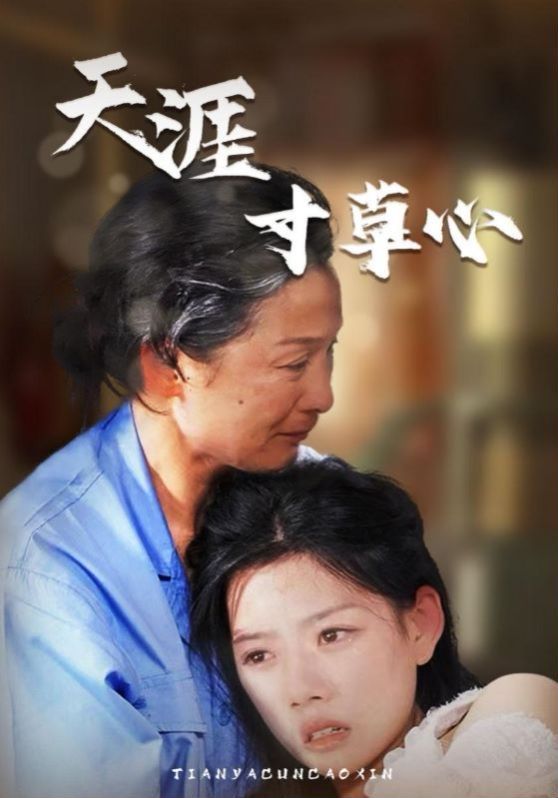 天涯寸草心第1-20集