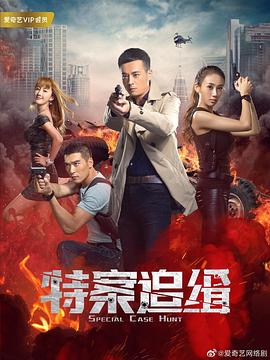 特案追缉第1集