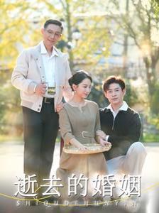 逝去的婚姻第1-20集