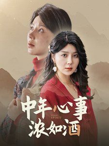 中年心事浓如酒第21-40集