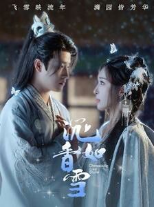沉香如雪第41-60集