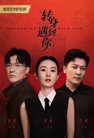 转身遇到你(全集)