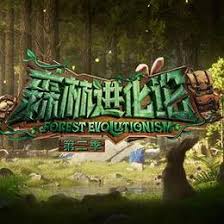 森林进化论 第二季第20241015期上