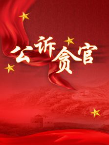 公诉贪官第19集