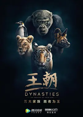 动物王朝第01集