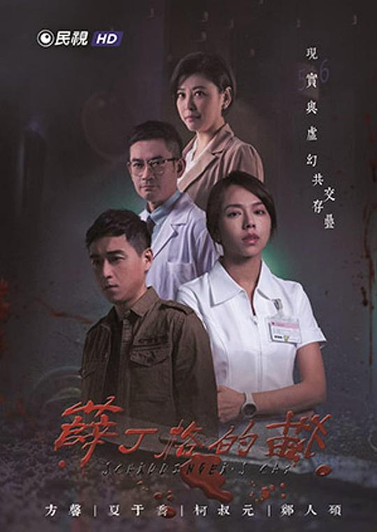 薛丁格的貓第01集