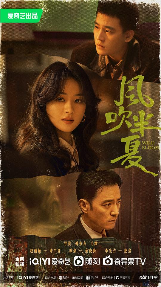 风吹半夏第14集