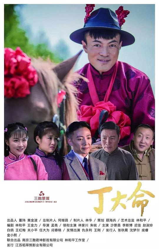 丁大命第01集