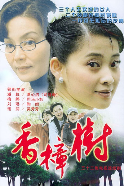 香樟树第01集