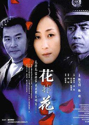 花非花第19集
