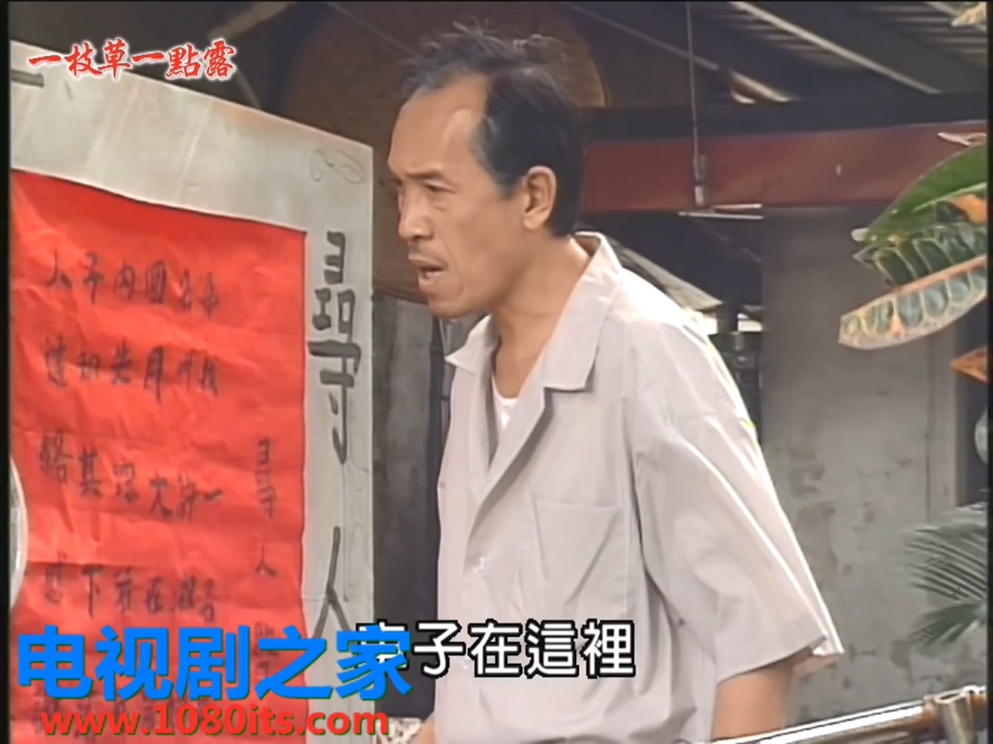 一枝草一点露第01集