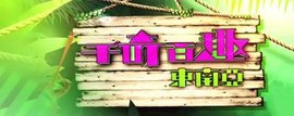 千奇百趣东南亚第01集