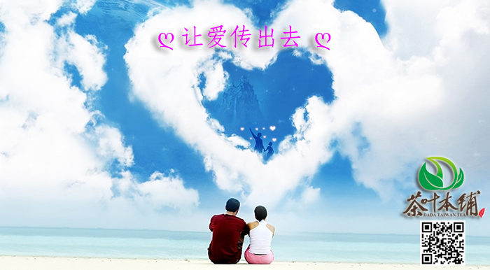 让爱传出去第01集
