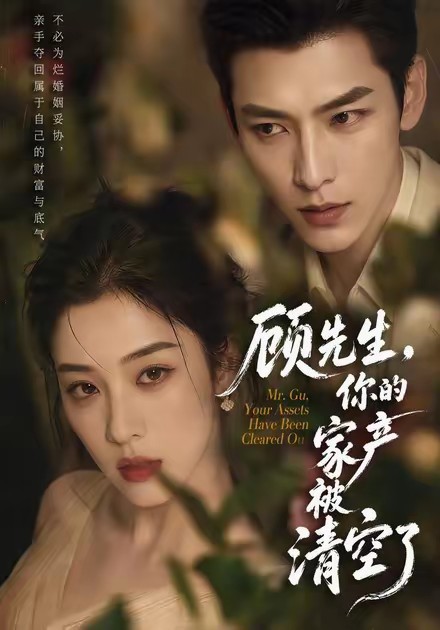 顾先生，你的家产被清空了(全集)